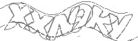 Check code